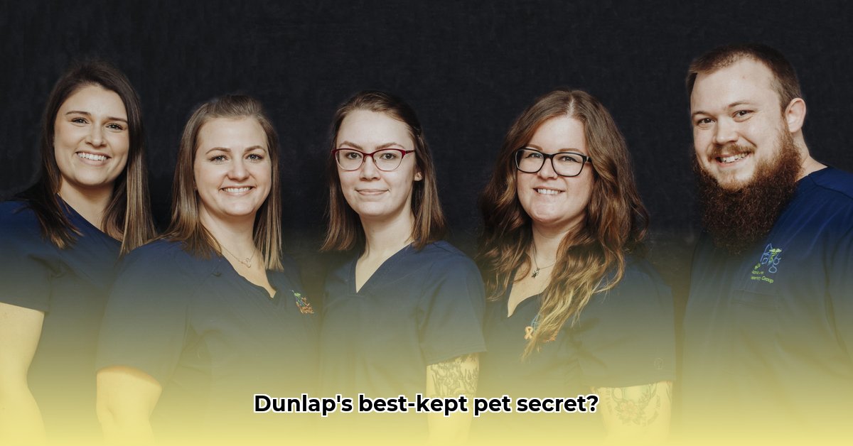 dunlap-vet-clinic-dunlap-il